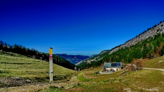 photoverconature - PHOTOS D'ETE