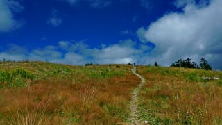 photoverconature - PHOTOS D'ETE