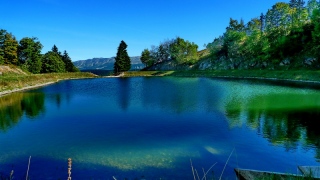 photoverconature - PHOTOS D'ETE
