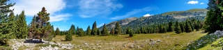 photoverconature - PHOTOS D'ETE