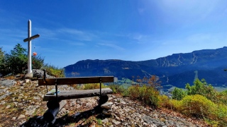 photoverconature - PHOTOS D'ETE
