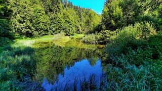 photoverconature - PHOTOS D'ETE