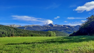 photoverconature - PHOTOS D'ETE