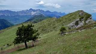 photoverconature - PHOTOS D'ETE