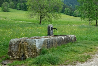 photoverconature - PHOTOS D'ETE