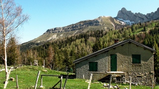 photoverconature - PHOTOS D'ETE