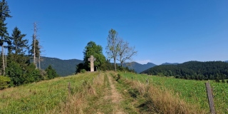 photoverconature - PHOTOS D'ETE