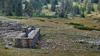 photoverconature - PHOTOS D'ETE