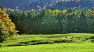 photoverconature - PHOTOS D'ETE