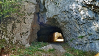 photoverconature - PHOTOS D'ETE