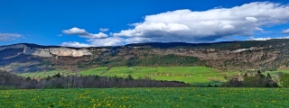 photoverconature - PHOTOS D'ETE