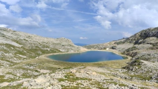 photoverconature - PHOTOS D'ETE