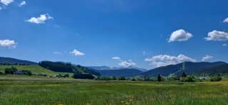 photoverconature - PHOTOS D'ETE