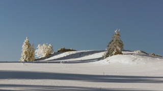photoverconature - PHOTOS D'HIVER