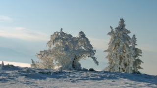 photoverconature - PHOTOS D'HIVER