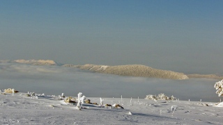 photoverconature - PHOTOS D'HIVER