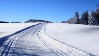 photoverconature - PHOTOS D'HIVER