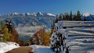 photoverconature - PHOTOS D'HIVER
