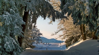 photoverconature - PHOTOS D'HIVER