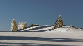 photoverconature - PHOTOS D'HIVER