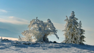photoverconature - PHOTOS D'HIVER