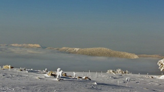 photoverconature - PHOTOS D'HIVER