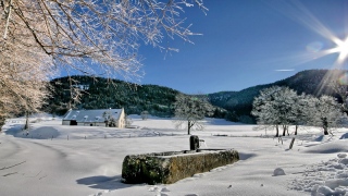 photoverconature - PHOTOS D'HIVER