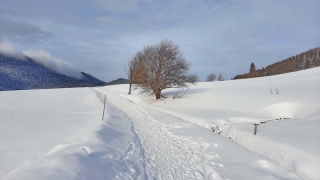 photoverconature - PHOTOS D'HIVER