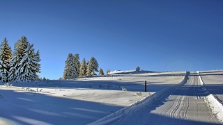 photoverconature - PHOTOS D'HIVER