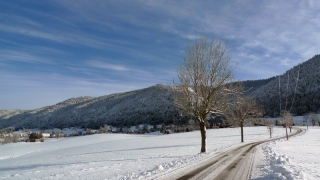 photoverconature - PHOTOS D'HIVER