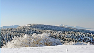 photoverconature - PHOTOS D'HIVER