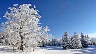 photoverconature - PHOTOS D'HIVER