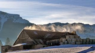 photoverconature - PHOTOS D'HIVER