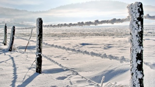 photoverconature - PHOTOS D'HIVER