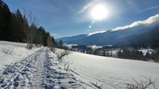 photoverconature - PHOTOS D'HIVER