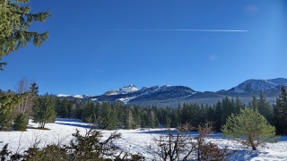 photoverconature - PHOTOS D'HIVER