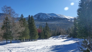 photoverconature - PHOTOS D'HIVER