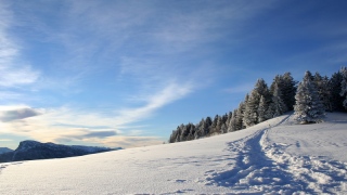 photoverconature - PHOTOS D'HIVER