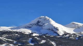 photoverconature - PHOTOS D'HIVER