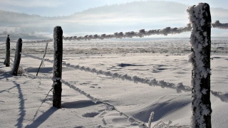 photoverconature - PHOTOS D'HIVER