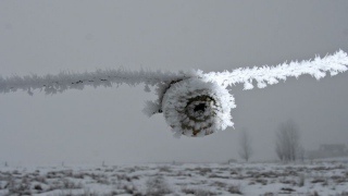 photoverconature - PHOTOS D'HIVER