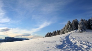 photoverconature - PHOTOS D'HIVER