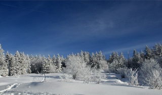 photoverconature - PHOTOS D'HIVER