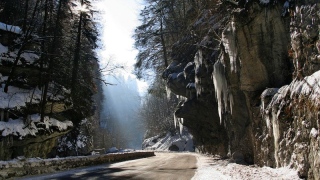 photoverconature - PHOTOS D'HIVER