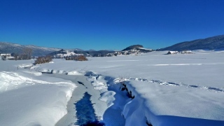 photoverconature - PHOTOS D'HIVER