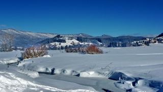 photoverconature - PHOTOS D'HIVER