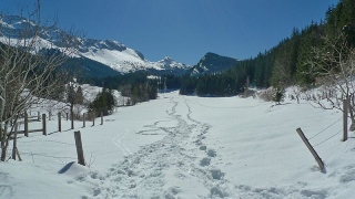 photoverconature - PHOTOS D'HIVER