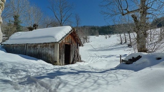 photoverconature - PHOTOS D'HIVER