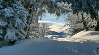 photoverconature - PHOTOS D'HIVER