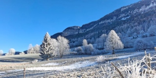 photoverconature - PHOTOS D'HIVER